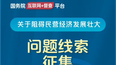 中国少妇喜欢和黑人大鸡八国务院“互联网+督查”平台公开征集阻碍民营经济发展壮大问题线索